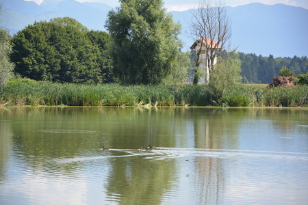Mokrišča v Hrašah