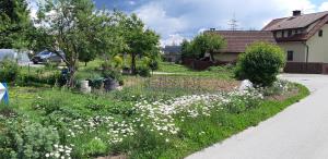 20200525_145010_resize