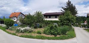 24301620200525_144944_resize