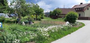 24301720200525_145010_resize