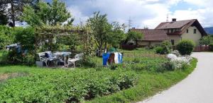 24301820200525_145027_resize