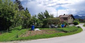 24301920200525_145046_resize