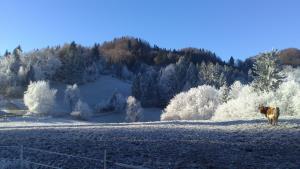 Zdenče-foto-Petra-Polovšek-1