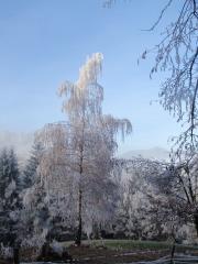 Zdenče-foto-petra-Polovšek-3