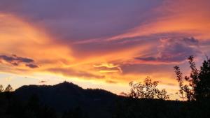 Zdenče-foto-Petra-Polovšek-4