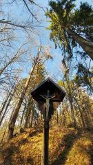 Zdenče-foto-Petra-Polovšek-5