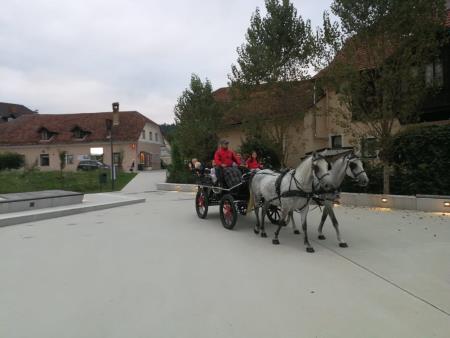 Konjička so zapregli, brezplačna vožnja s Hraško dvovprego