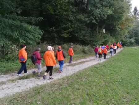 3sprehodi: Verjanski krog