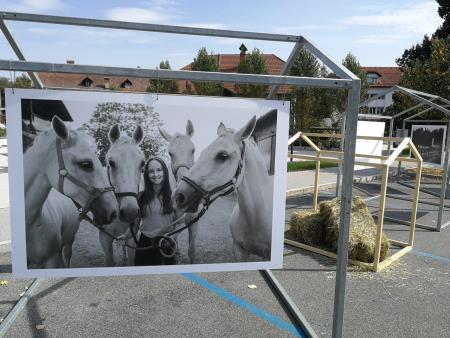 Parkirana fotografska razstava Hraški konji z instalacijo sena (po zapori ceste)