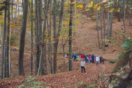 GozdnaUcnaPot-KoconogekaCuka-03