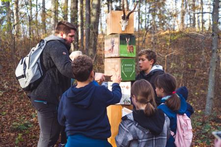 GozdnaUcnaPot-KoconogekaCuka-04