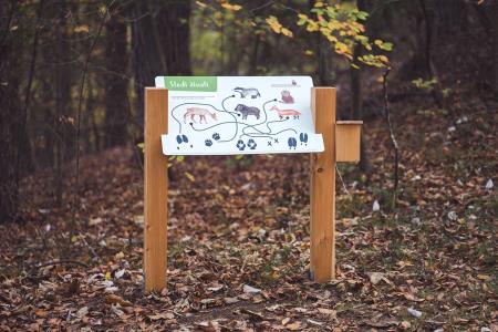 GozdnaUcnaPot-KoconogekaCuka-05