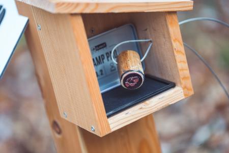 GozdnaUcnaPot-KoconogekaCuka-08