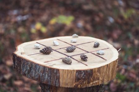 GozdnaUcnaPot-KoconogekaCuka-09