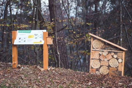 GozdnaUcnaPot-KoconogekaCuka-10