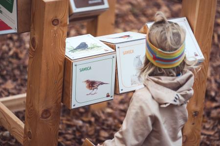 GozdnaUcnaPot-KoconogekaCuka-11