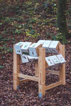 GozdnaUcnaPot-KoconogekaCuka-13