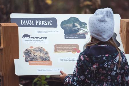 GozdnaUcnaPot-KoconogekaCuka-15