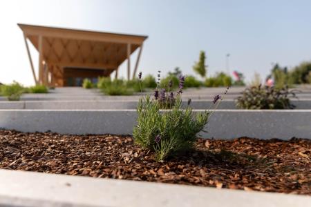 Trznica_Medvode__(14_of_21)