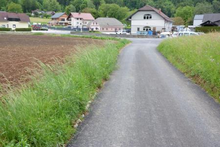 Cesta v Spodnjih Pirničah