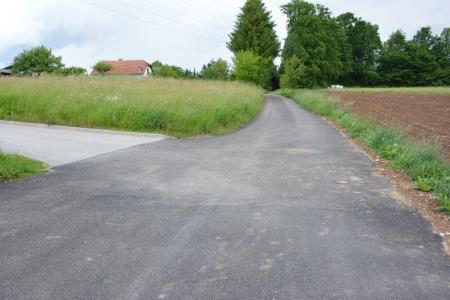 Cesta v Spodnjih Pirničah