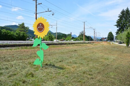 Sejemo sončno prihodnost