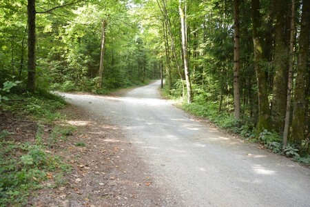 Cesta Žlebe - Na Čerenu