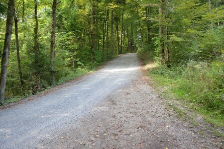 Cesta Žlebe - Na Čerenu