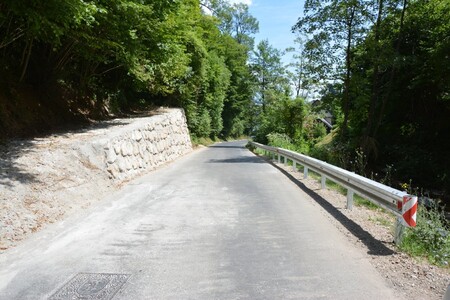 Bergantova cesta